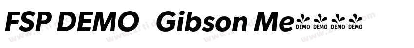 FSP DEMO   Gibson Me字体转换
